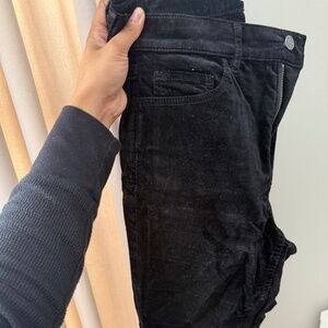 Loft velvet Skinny pants